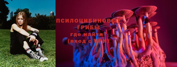 COCAINE Белокуриха