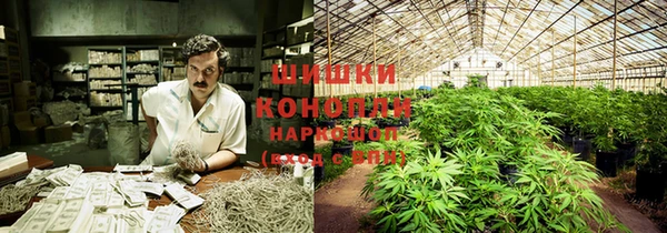 COCAINE Белокуриха