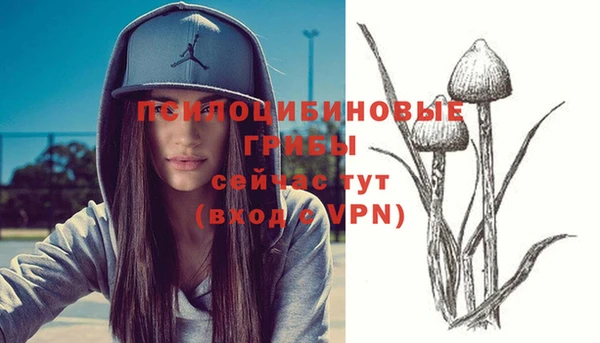 ешки Беломорск